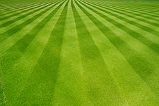 Commercial Mower