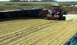 Silage Packer