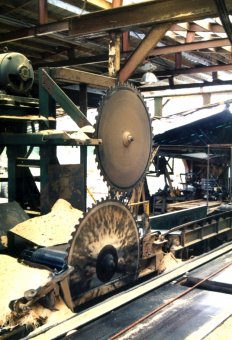 The Saws at the Mill