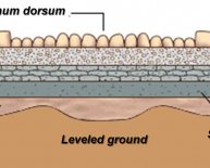 Bituminous road construction