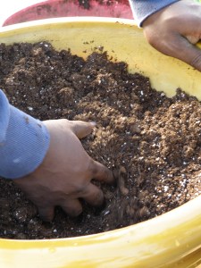 Use quality potting soil for your container gardens.