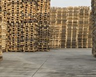 Cat p5000 Forklift Specs